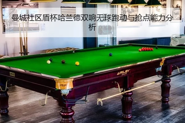 man-cheng-she-qu-dun-bei-ha-lan-de-shuang-xiang-wu-qiu-pao-dong-yu-qiang-dian-neng-li-fen-xi-2-827.jpg